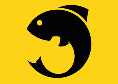 TFbaits